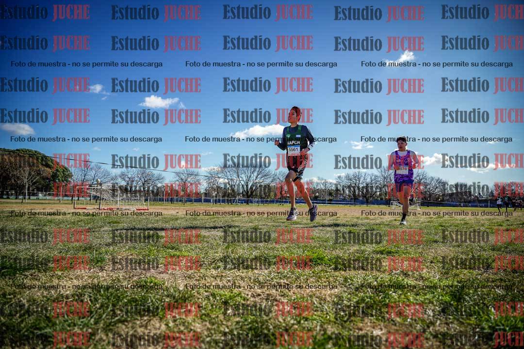 Fotos en el circuito