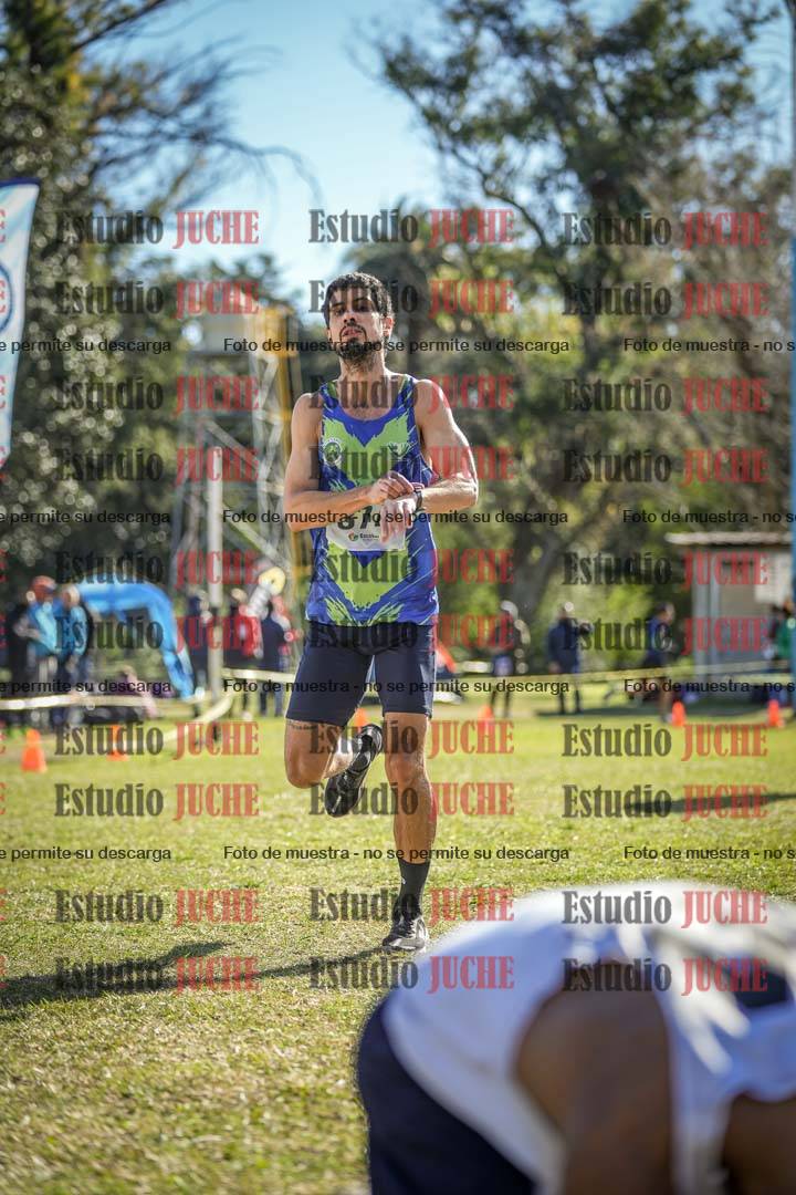 Fotos de la llegada del cross de 8000 m