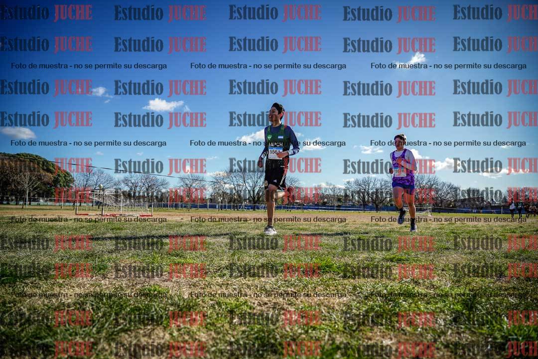 Fotos en el circuito