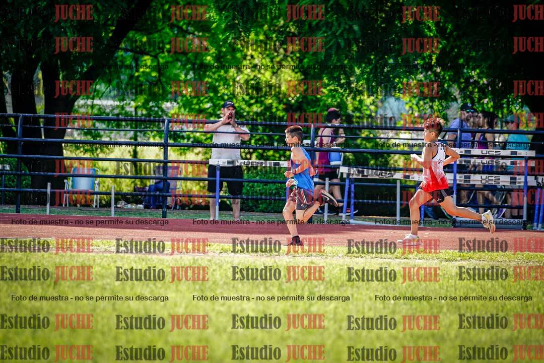 Fotos de los 1000 m llanos de varones