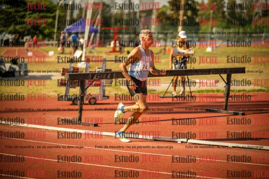Fotos de los 800 m llanos de varones