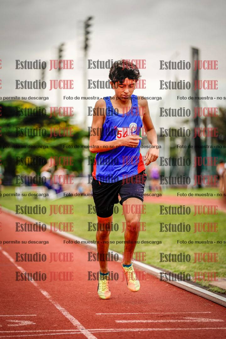 Fotos de los 800 m de varones