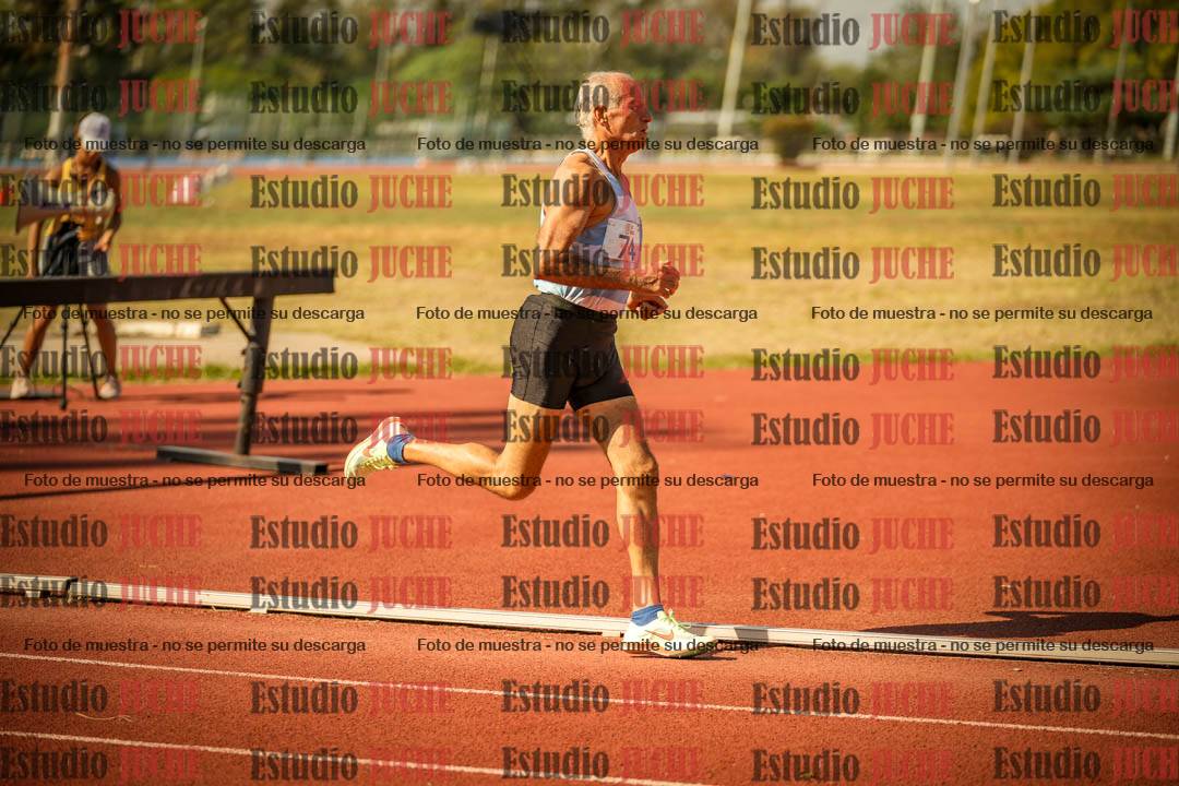 Fotos de los 800 m llanos de varones