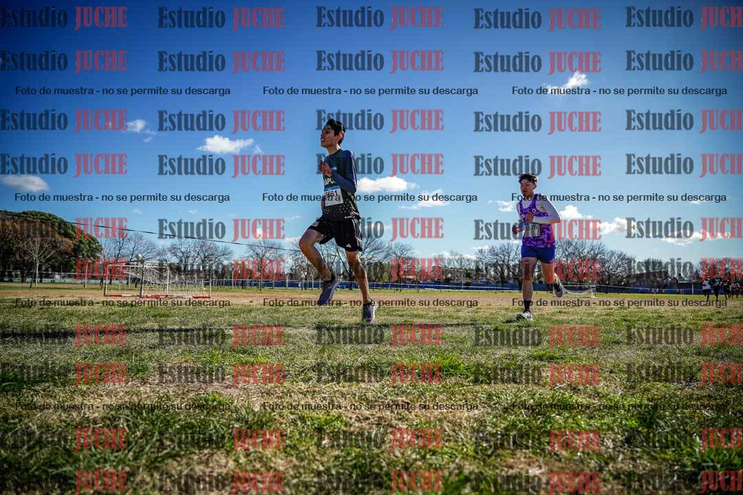Fotos en el circuito