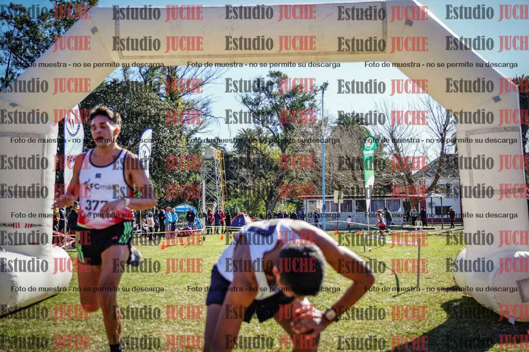 Fotos de la llegada del cross de 8000 m