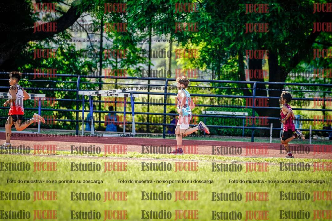 Fotos de los 1000 m llanos de varones