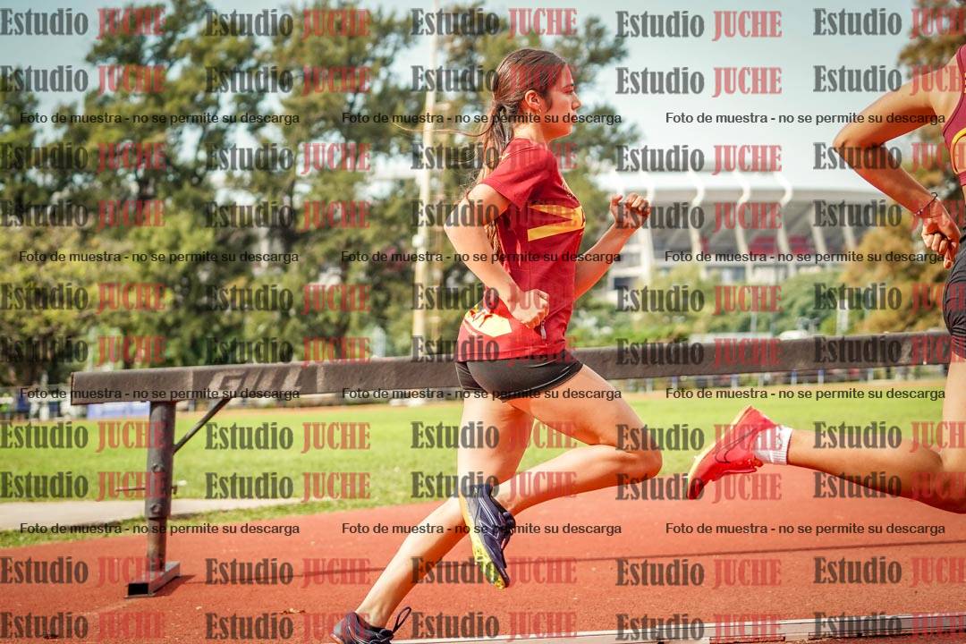 Fotos de los 800 m llanos de mujeres - hepta 7