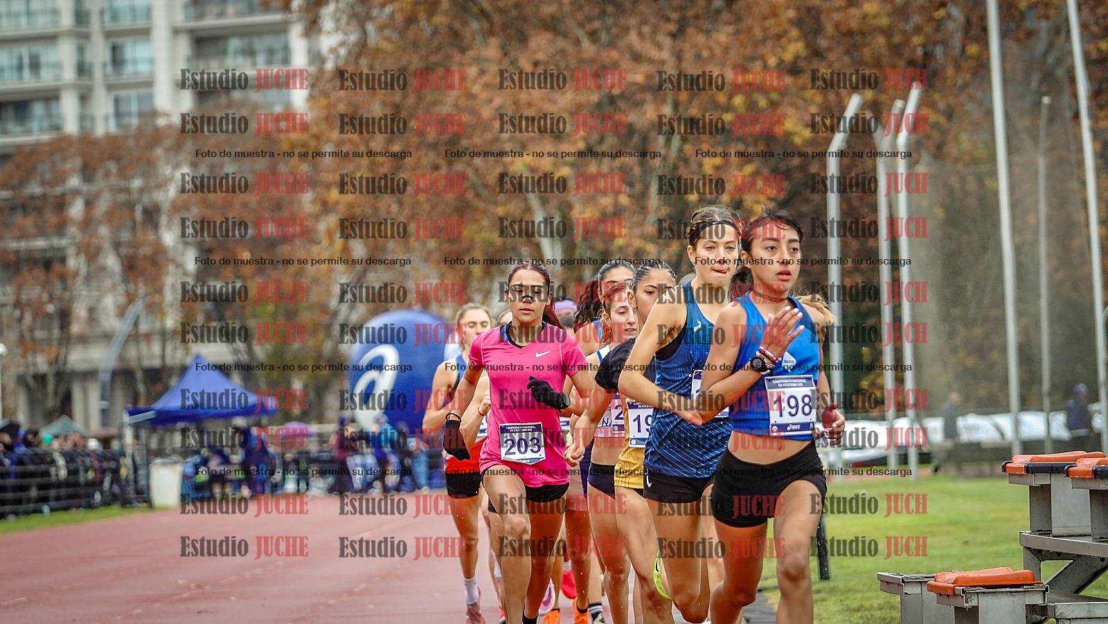 Fotos de los 1500 m llanos de mujeres