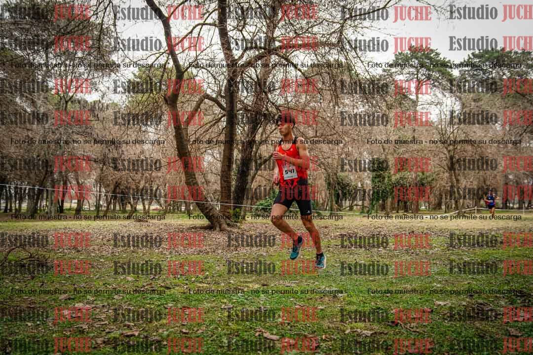 Fotos en el circuito