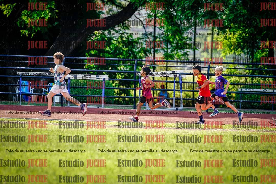 Fotos de los 1000 m llanos de varones