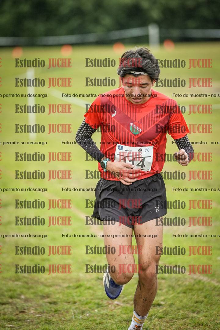 Fotos en el circuito