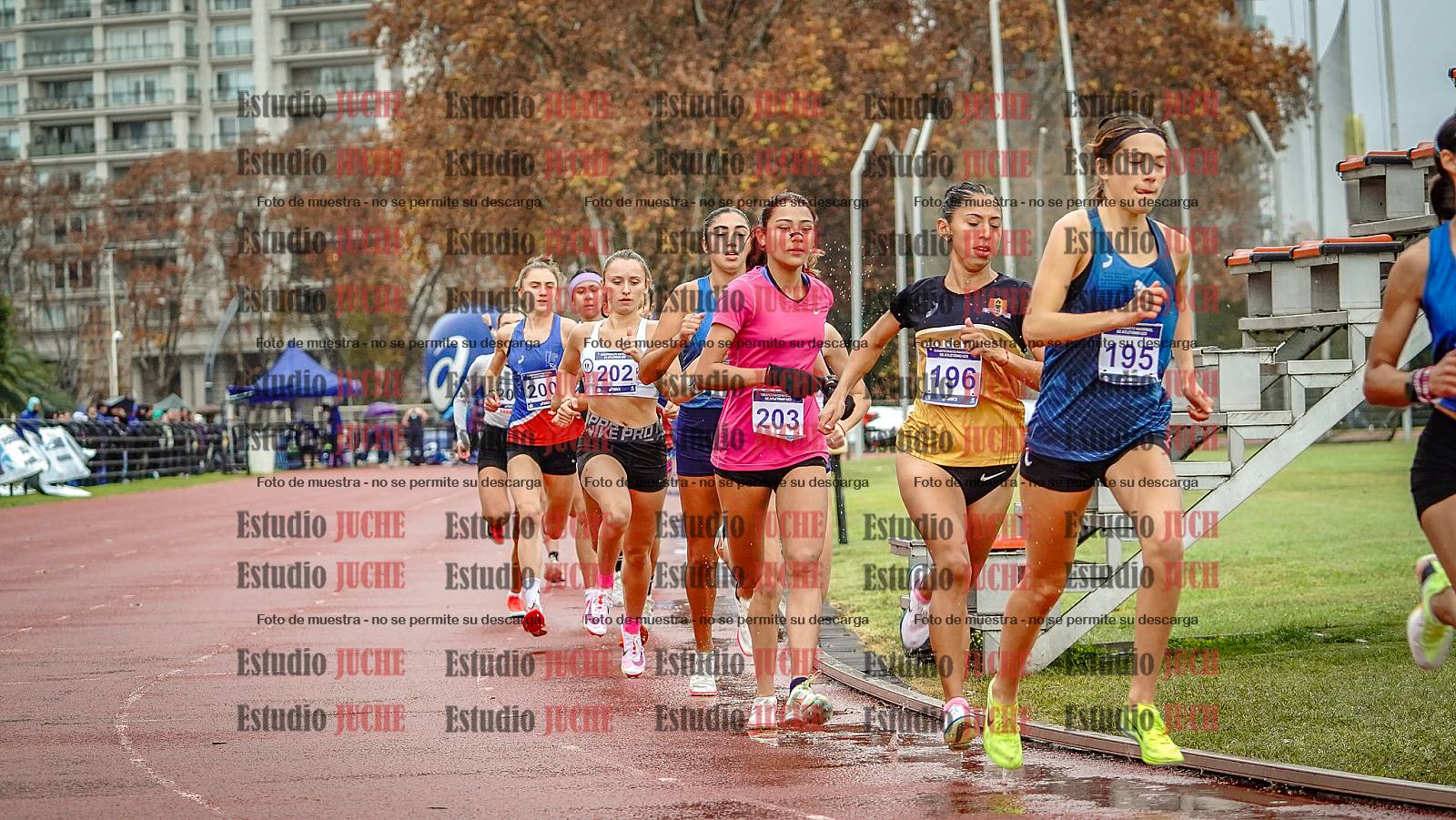 Fotos de los 1500 m llanos de mujeres