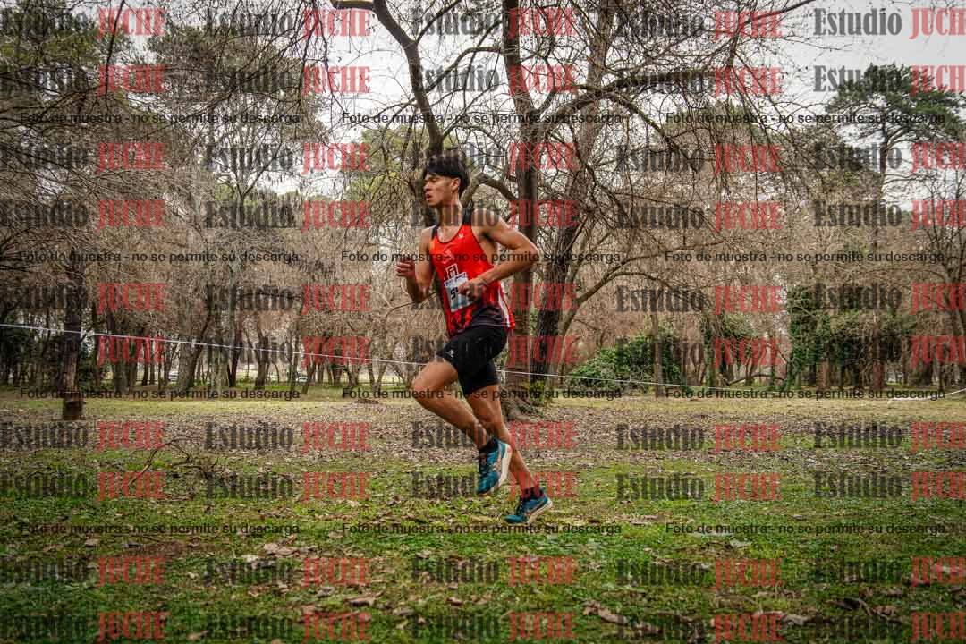Fotos en el circuito