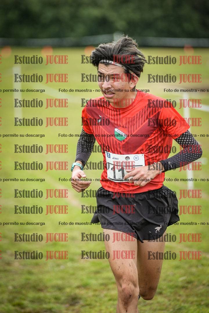 Fotos en el circuito