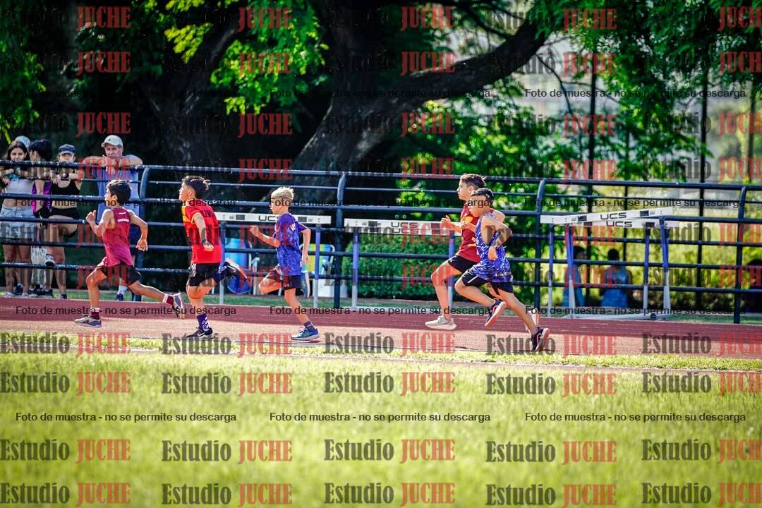 Fotos de los 1000 m llanos de varones