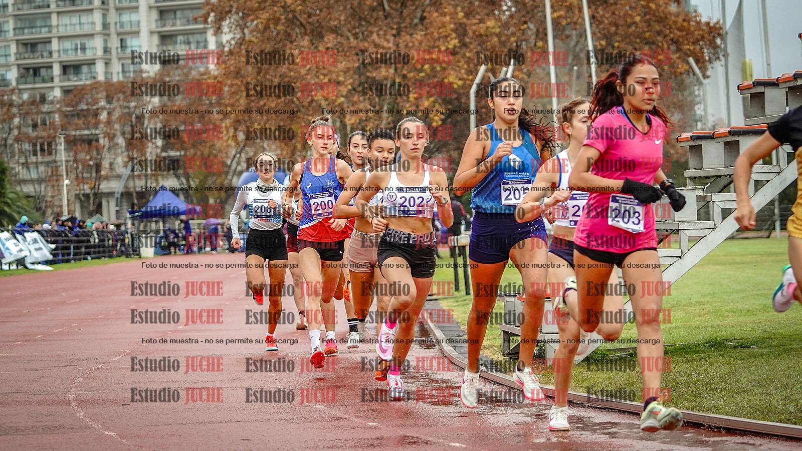Fotos de los 1500 m llanos de mujeres