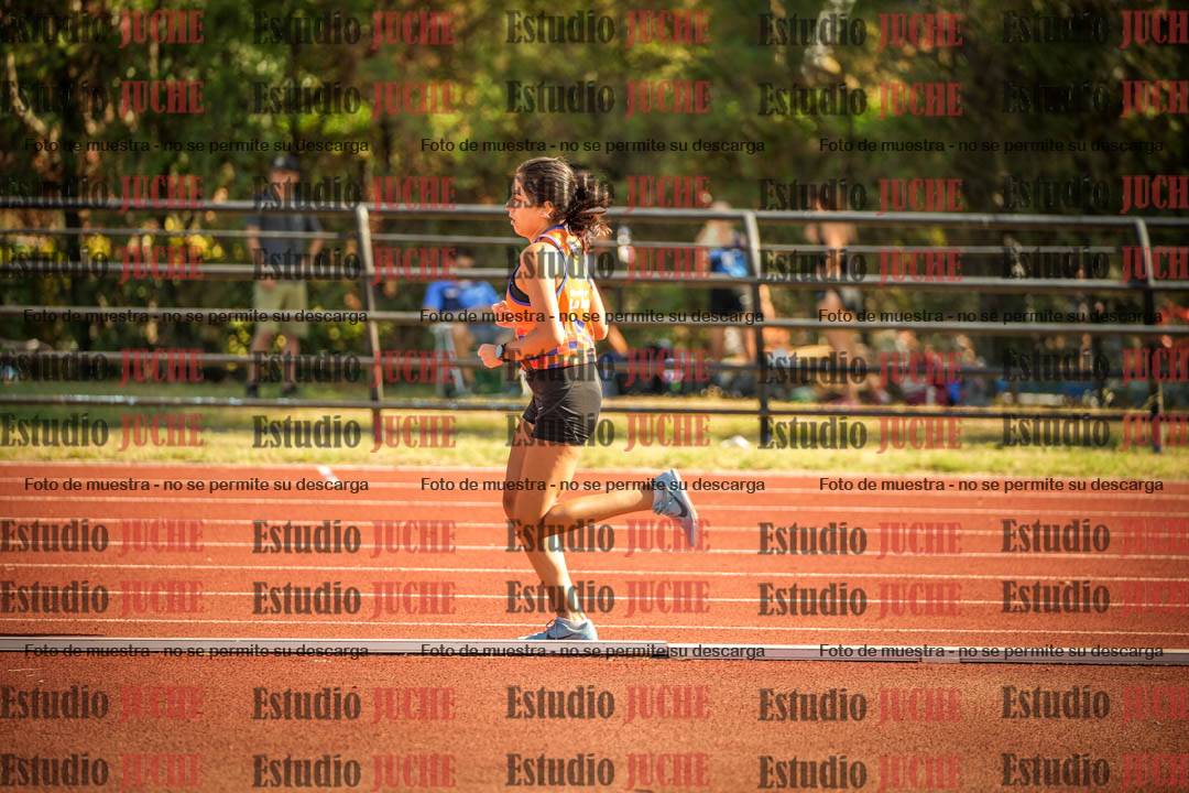 Fotos de los 1500 m de mujeres
