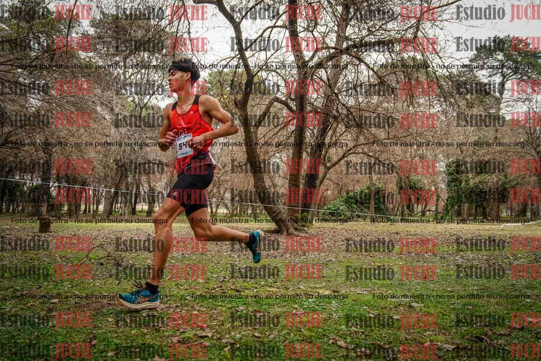 Fotos en el circuito