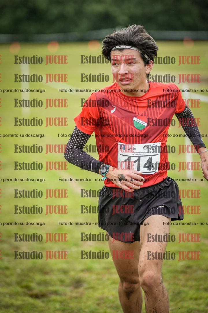 Fotos en el circuito