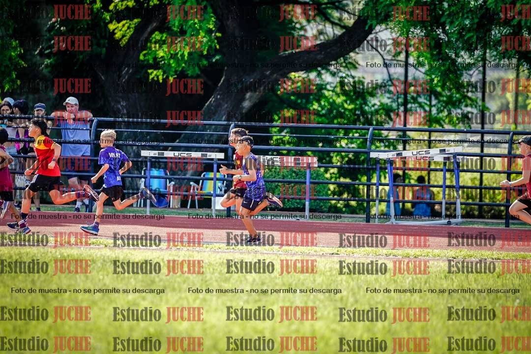 Fotos de los 1000 m llanos de varones
