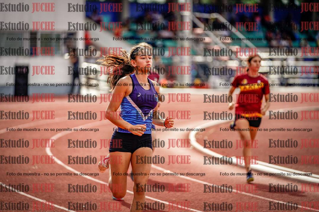 Fotos de los 800 m llanos de mujeres - hepta 7