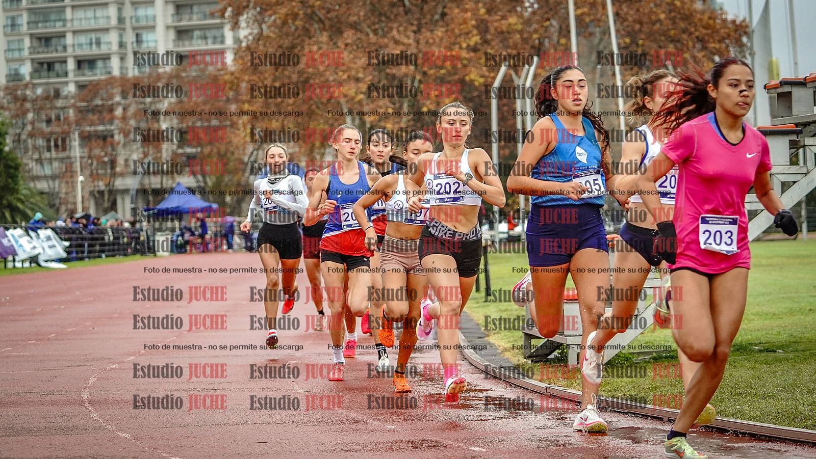 Fotos de los 1500 m llanos de mujeres