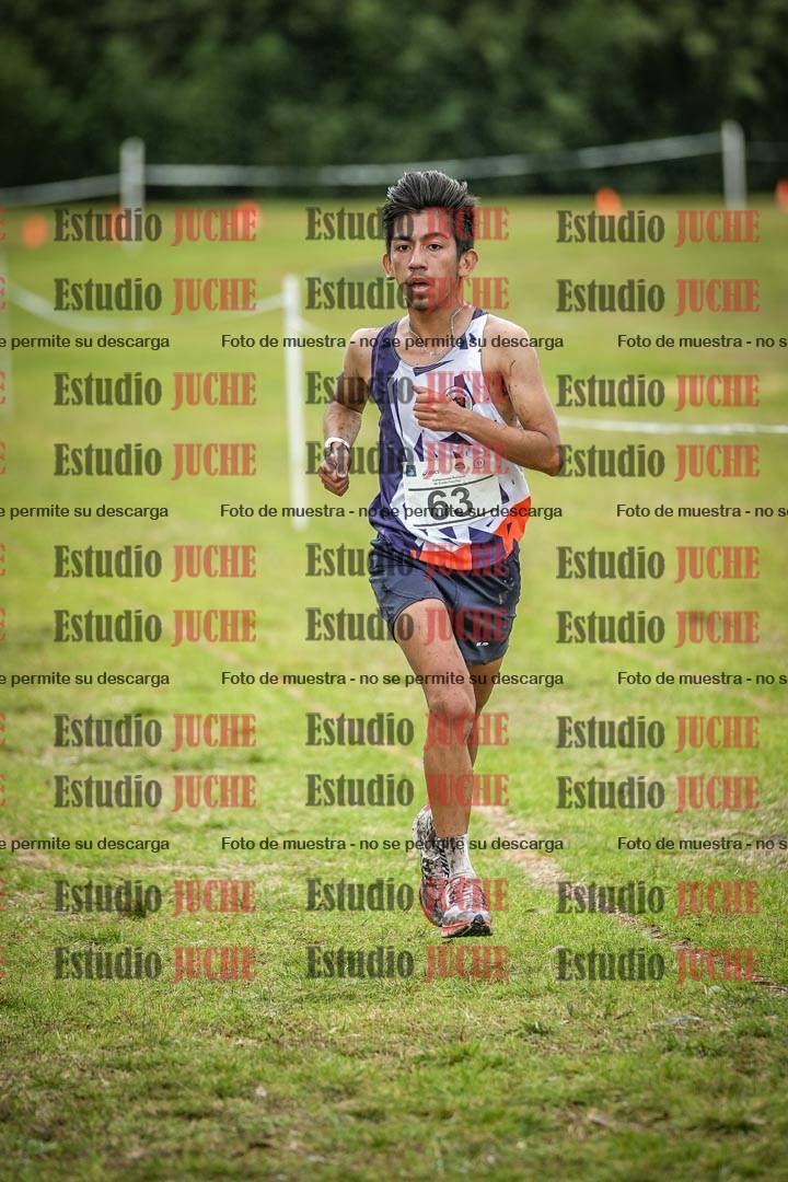 Fotos en el circuito