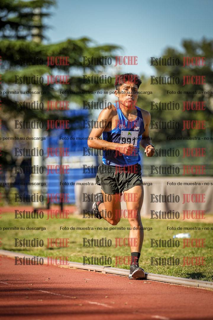 Fotos de los 5000 m llanos de varones