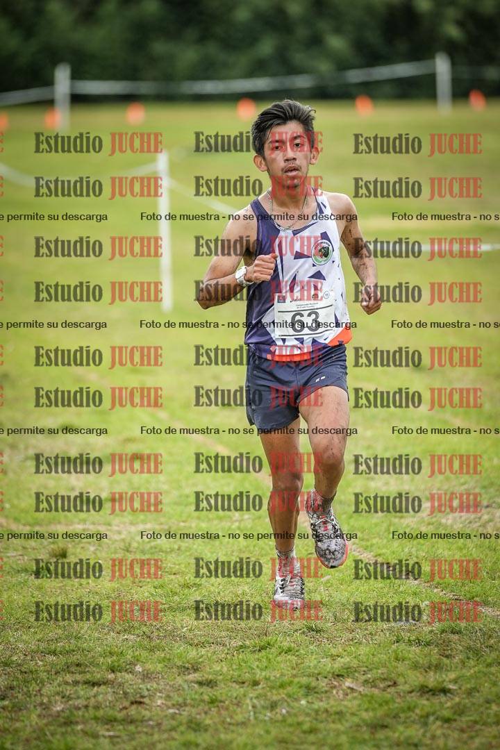 Fotos en el circuito