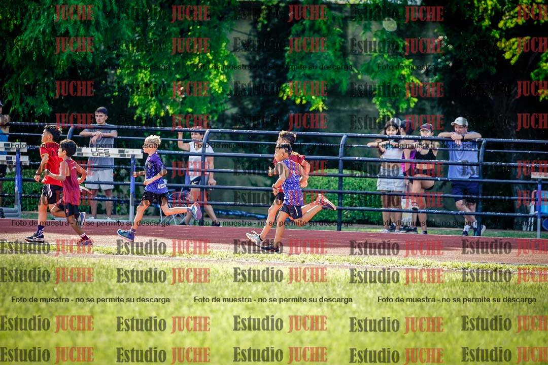 Fotos de los 1000 m llanos de varones