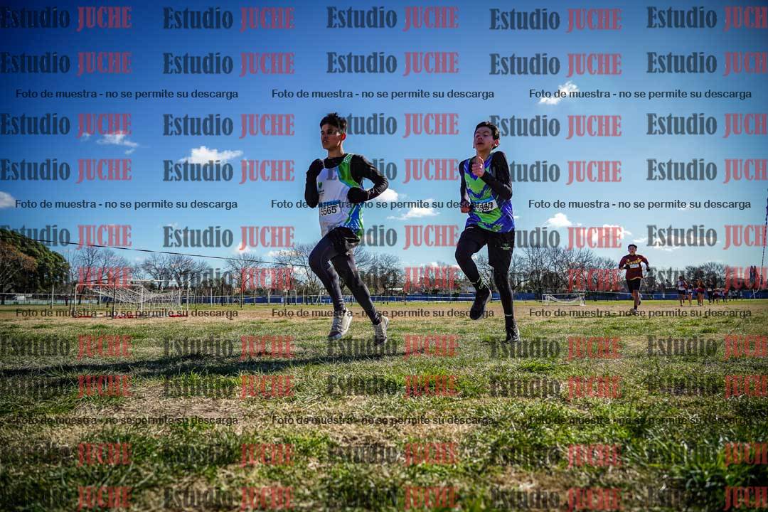 Fotos en el circuito
