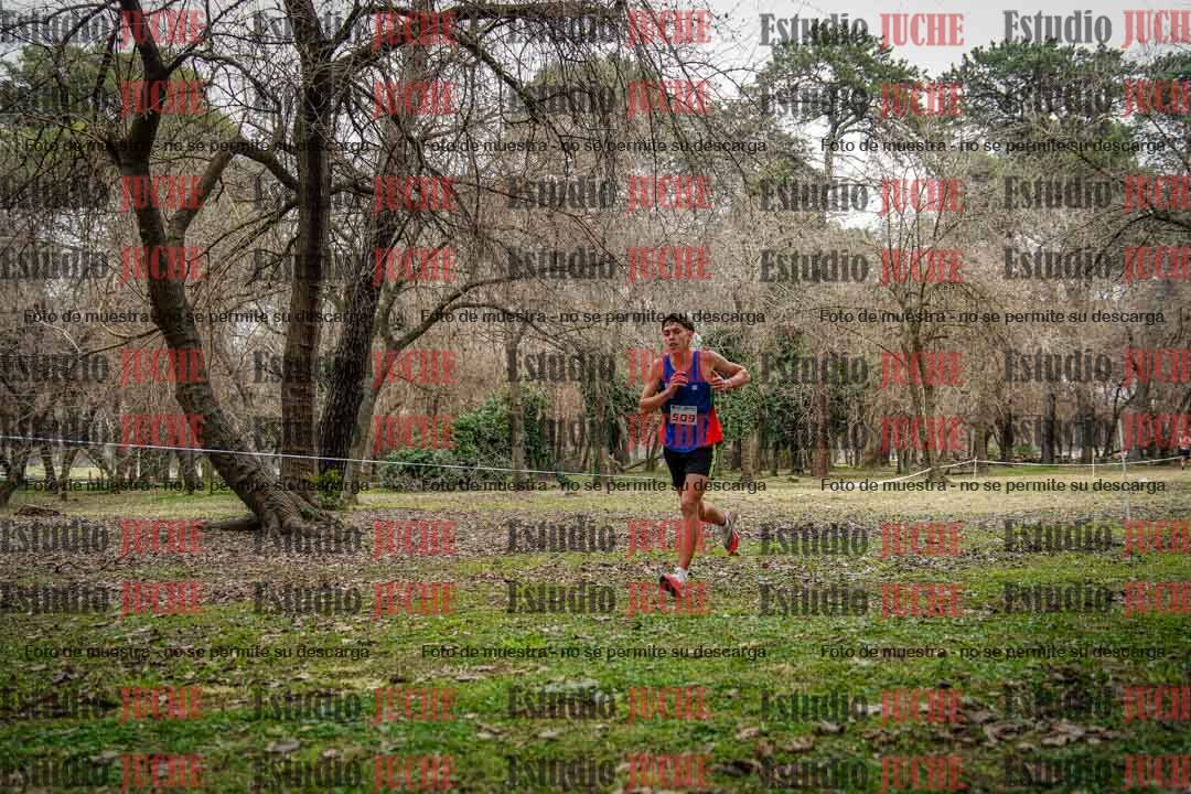 Fotos en el circuito