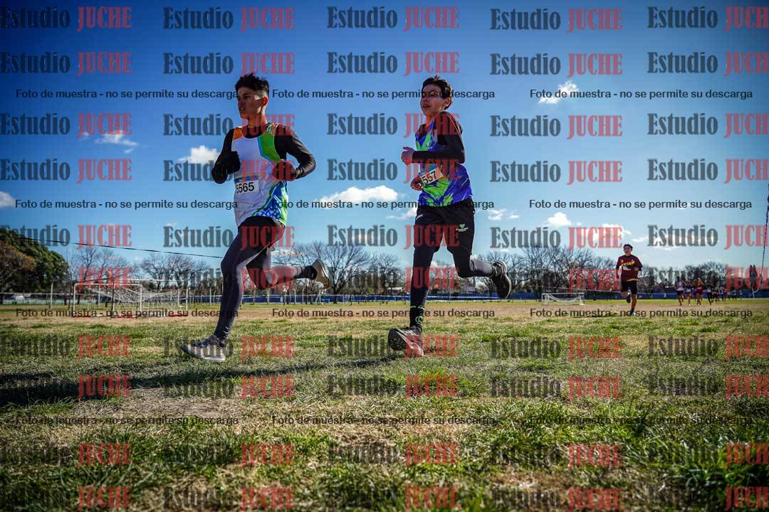 Fotos en el circuito