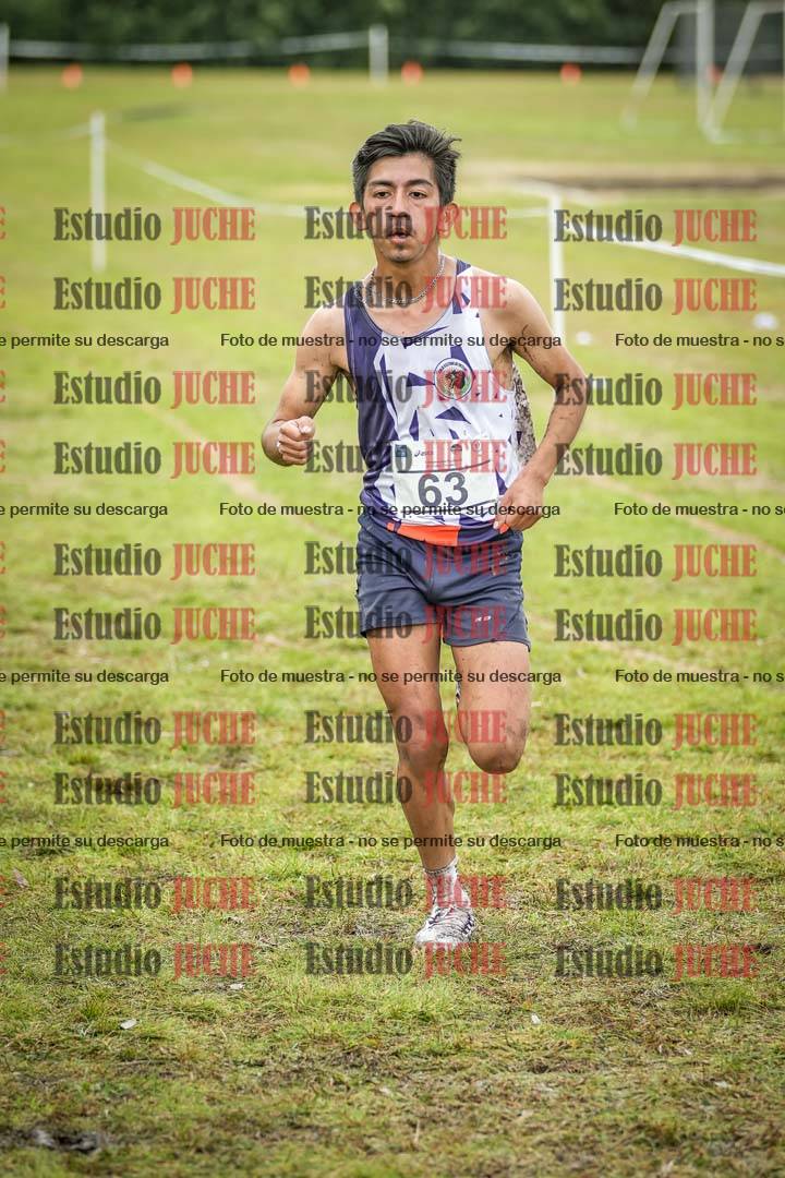 Fotos en el circuito