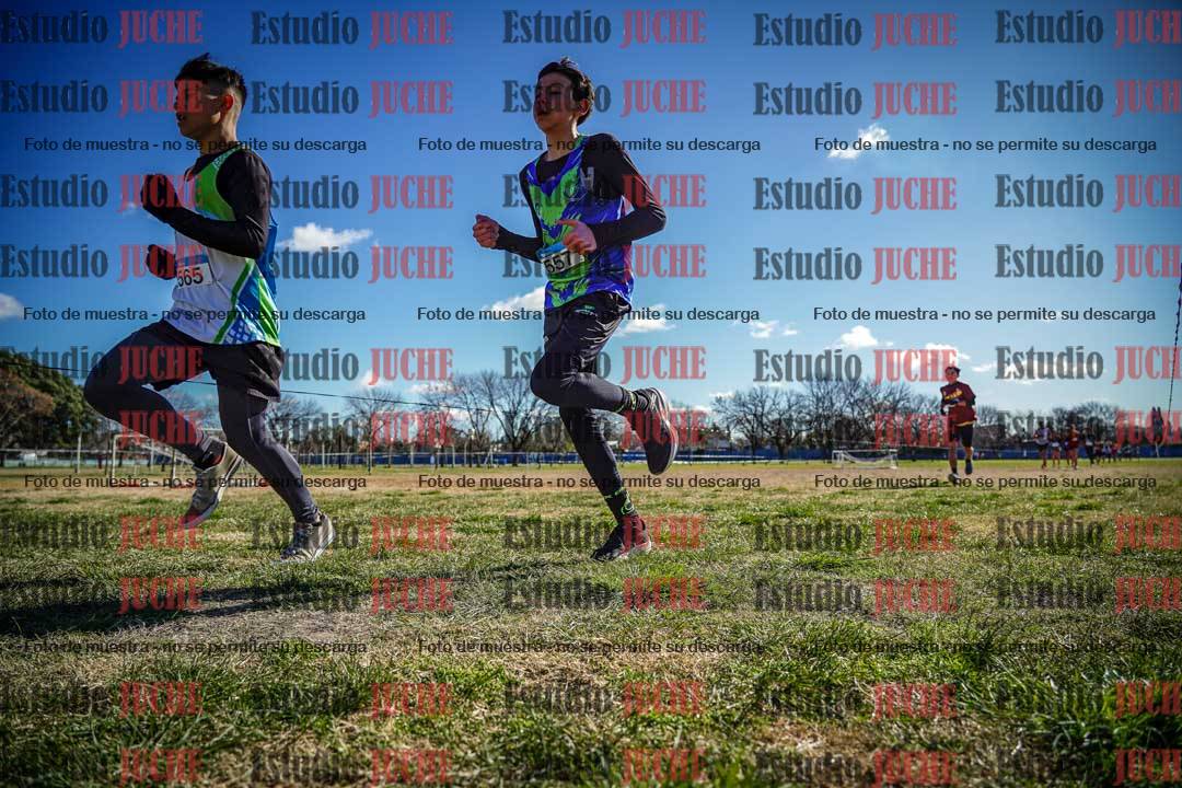 Fotos en el circuito