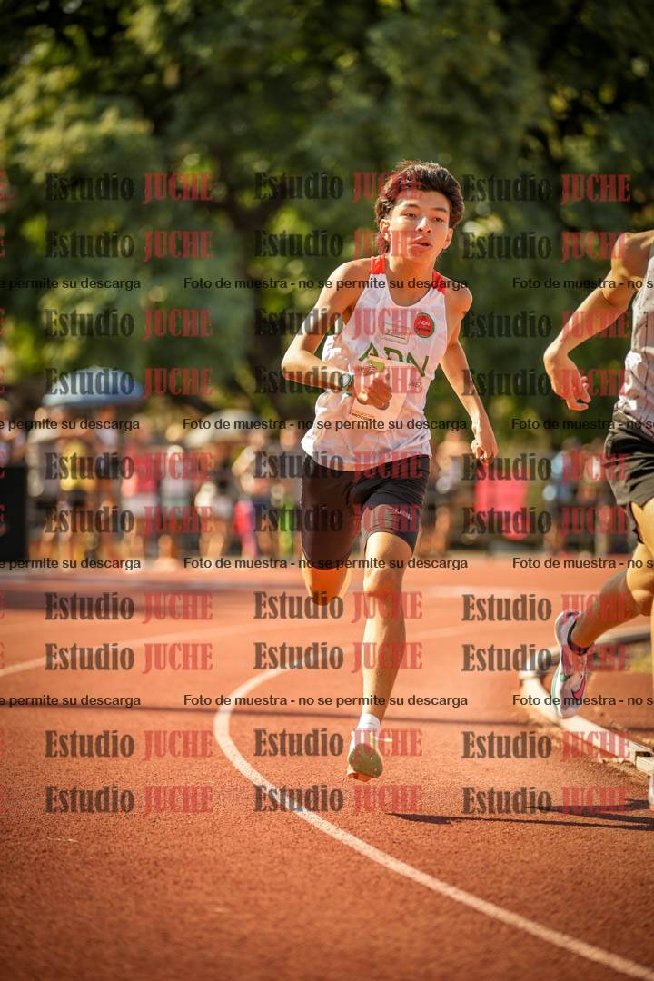 Fotos de los 800 m llanos de varones