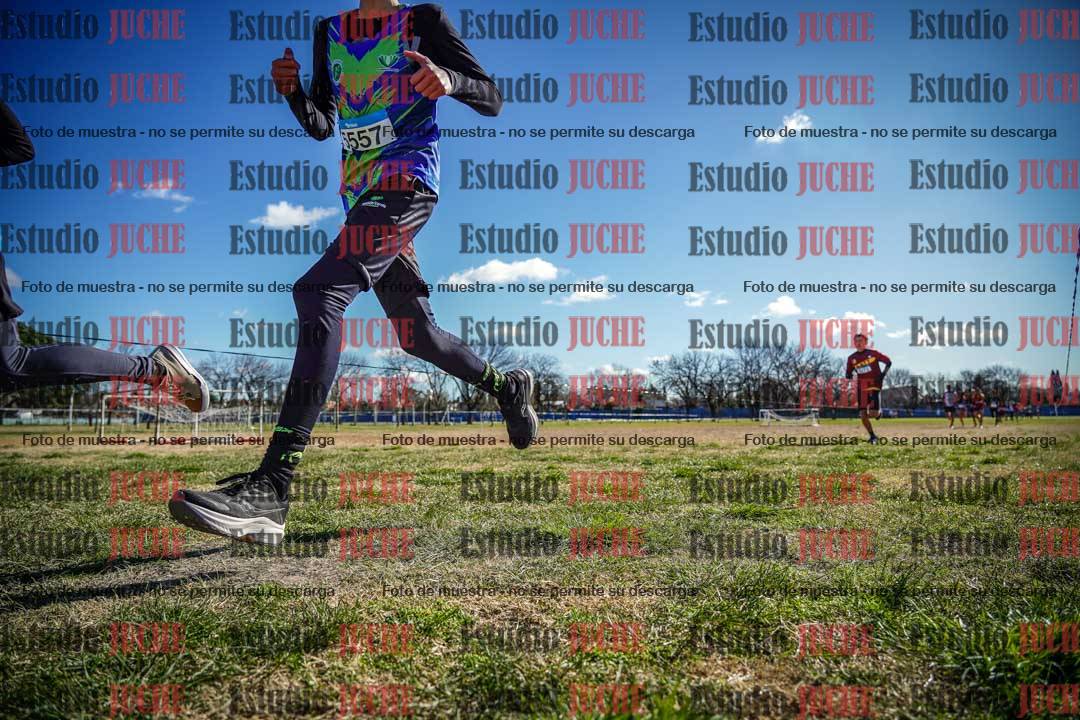 Fotos en el circuito