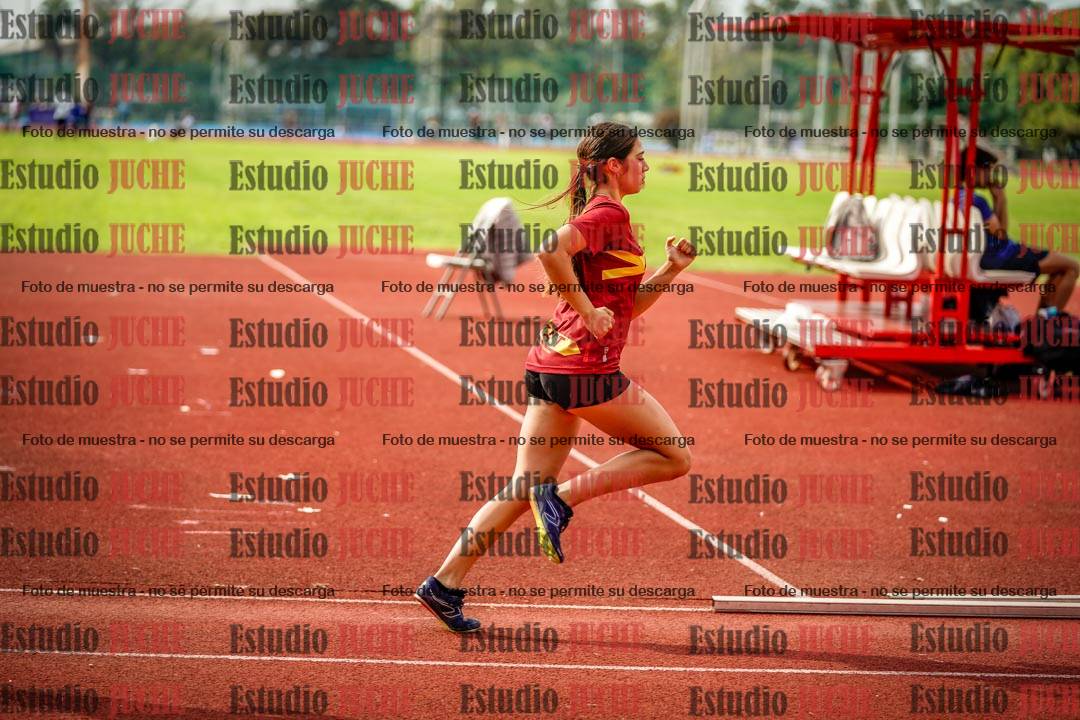 Fotos de los 800 m llanos de mujeres - hepta 7