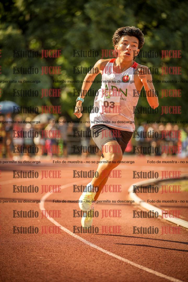 Fotos de los 800 m llanos de varones