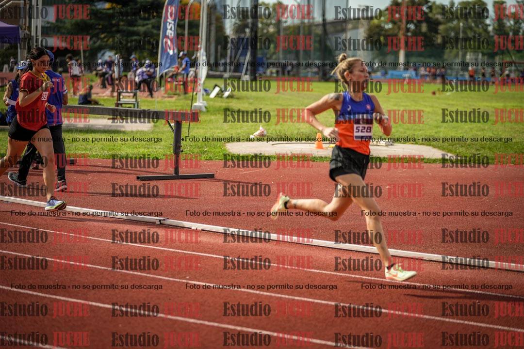 Fotos de los 800 m llanos de mujeres