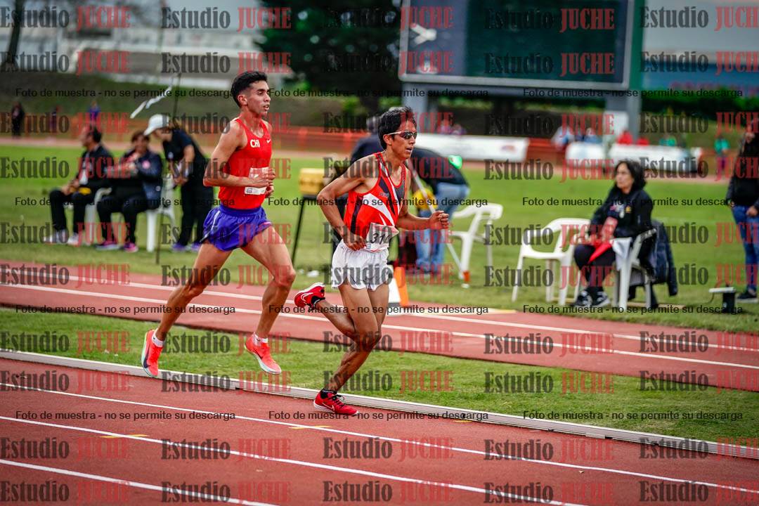 Fotos de los 10.000 m llanos de varones