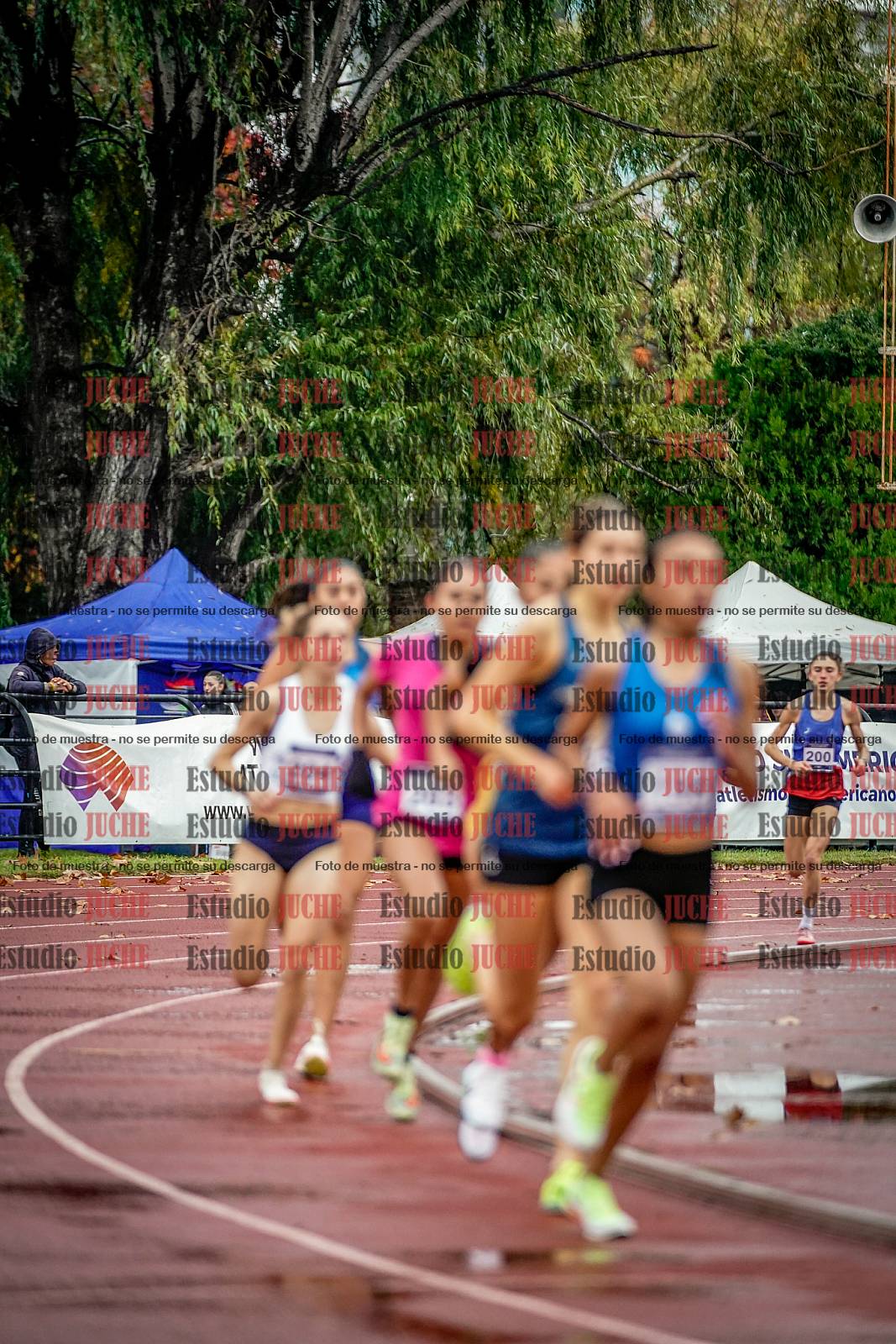 Fotos de los 1500 m llanos de mujeres