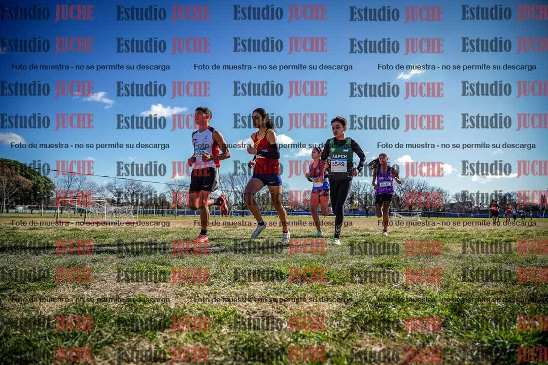 Fotos en el circuito