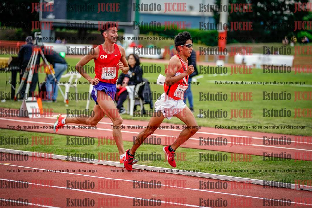 Fotos de los 10.000 m llanos de varones