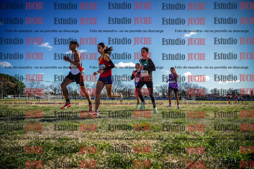 Fotos en el circuito