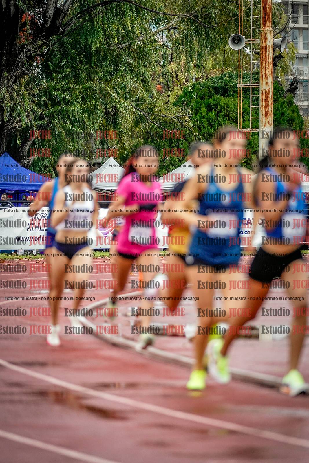 Fotos de los 1500 m llanos de mujeres