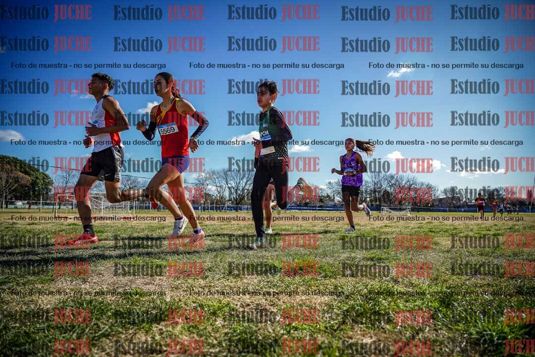 Fotos en el circuito