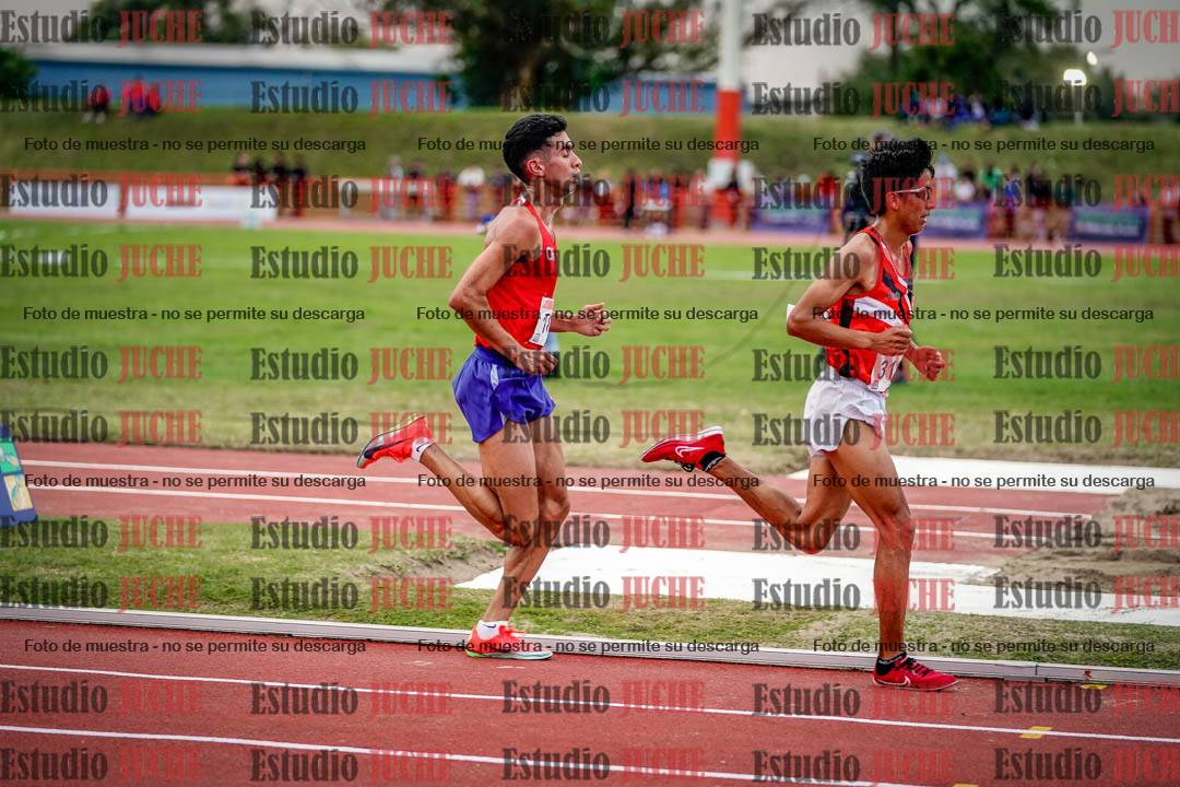 Fotos de los 10.000 m llanos de varones