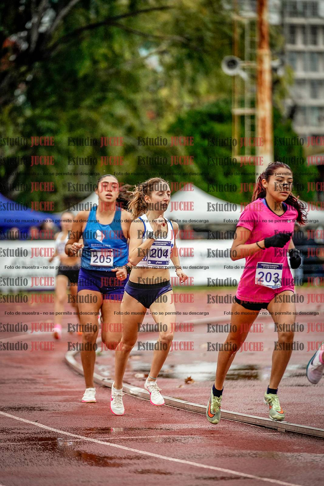 Fotos de los 1500 m llanos de mujeres