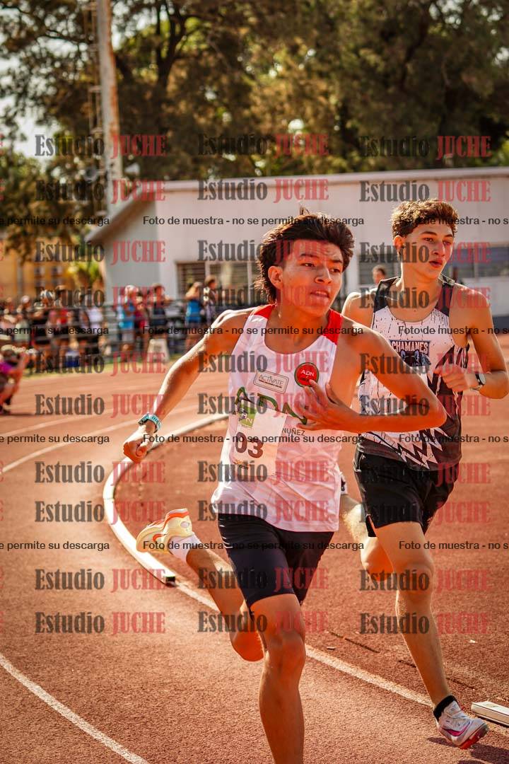 Fotos de los 800 m llanos de varones